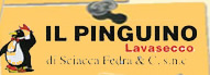 Il pinguino